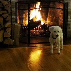 Meet your Posher, El